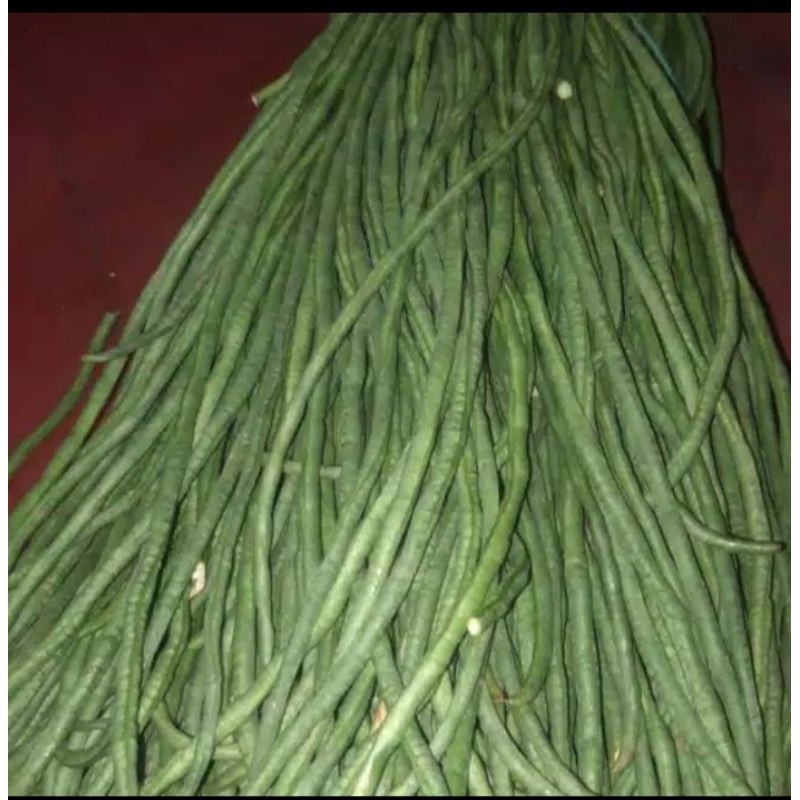 

kacang panjang
