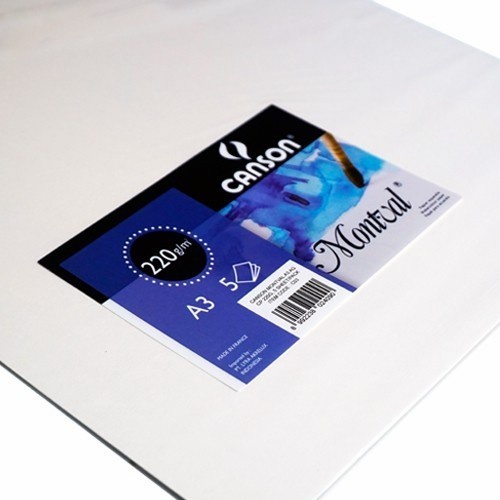 

Canson Montval Size A3 5 Sheets 220 Gsm Water Color Paper