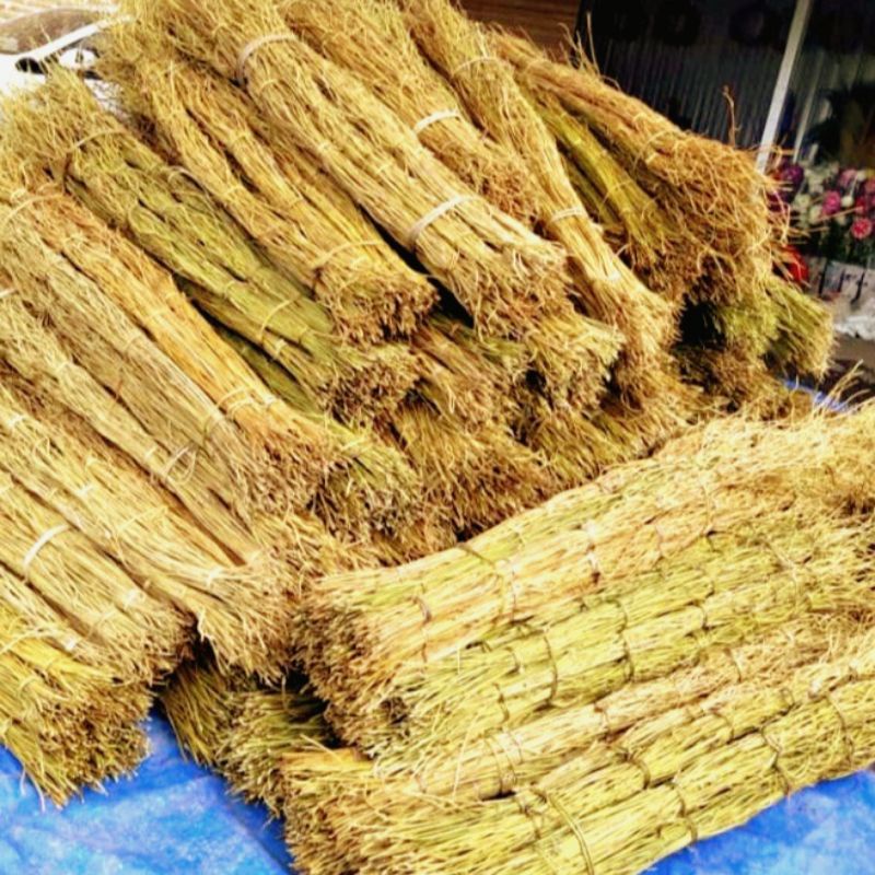 akar manon isi 100 batang / akar mentau / akar manon dekorasi