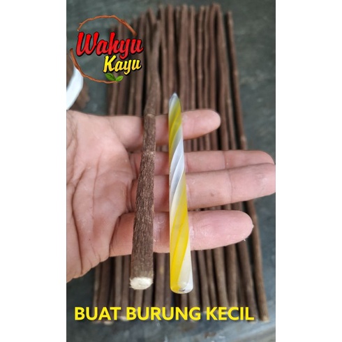 TANGKRINGAN ASEM JAWA CUCAK IJO CIBLEK PLECI KONIN / BURUNG KECIL