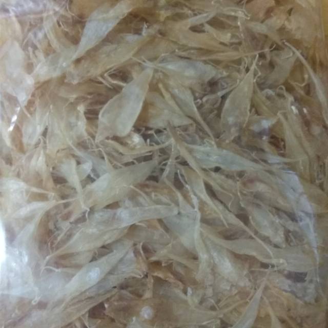 

HIPIO / PERUT IKAN 100 GRAM / GELEMBUNG IKAN HI PIO