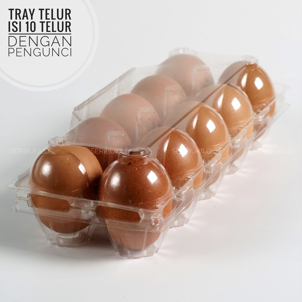 Tray Telur / Tray Egg 10 Telur - Dengan Pengunci / Lock