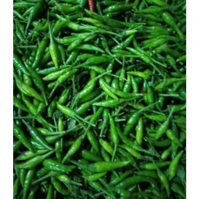 

Cabe Rawit Hijau (250 gram)