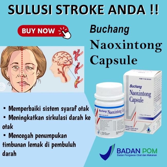Obat stroke cina original buchang naoxintong capsule jantung dan stroke herbal 36 kapsul BPOM