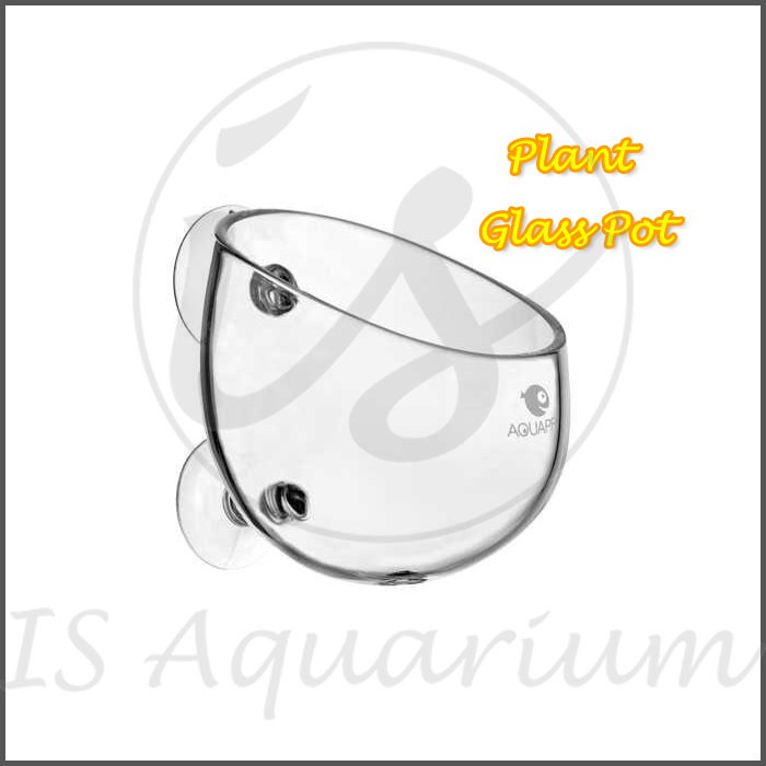 Aquapro Plant Glass Pot Glasspot Glaspot - Aquascape Tools