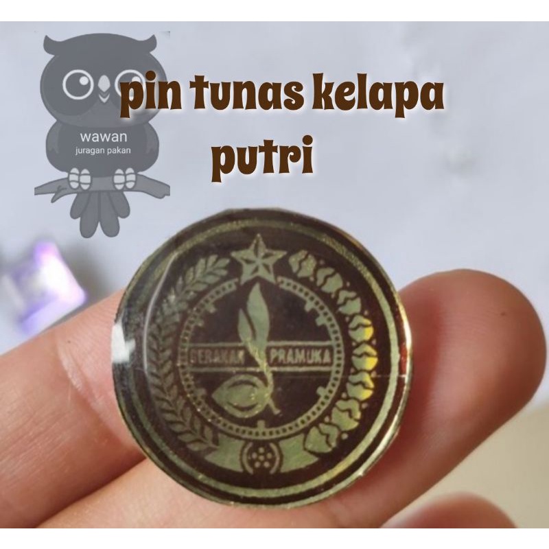 PIN TUNAS KELAPA &amp; PIN PANDU DUNIA WOSM PERLENGKAPAN PRAMUKA, BROSS KITRI
