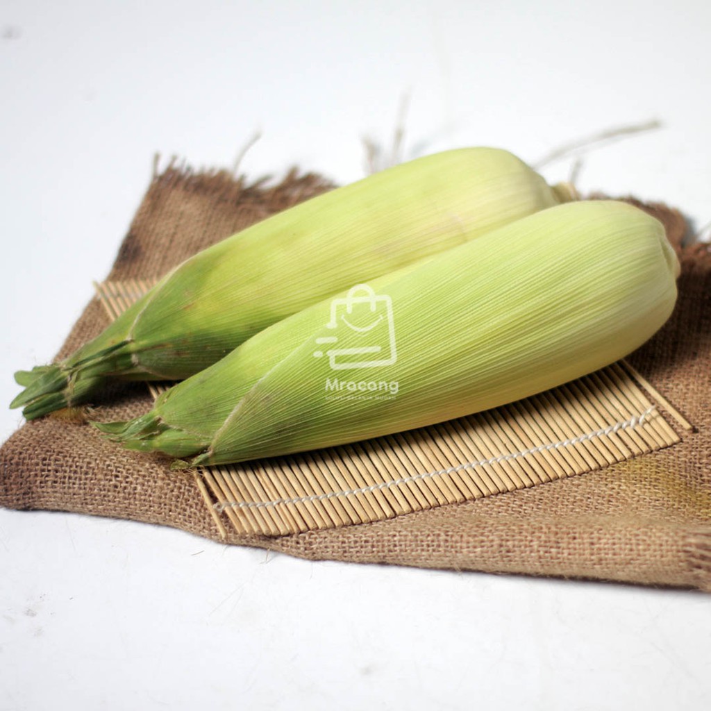 Jagung Manis Kulit - Berat 1kg / Sayuran Segar