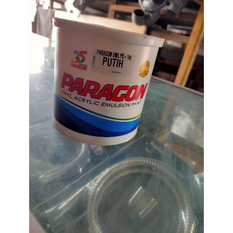 cat paragon 1kg