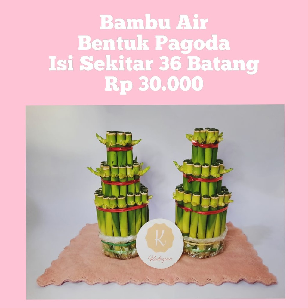 Bambu Air Bentuk Pagoda Bambu Hoki Bambu Cina [Free Hidrogel 10gram]