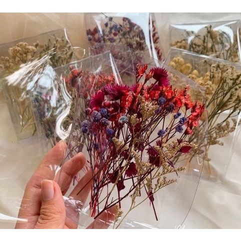 Five Dried Flowers Bundle - Paket Lima Bunga Kering