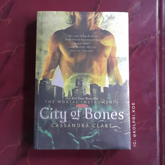 The Mortal Instruments City of Bones