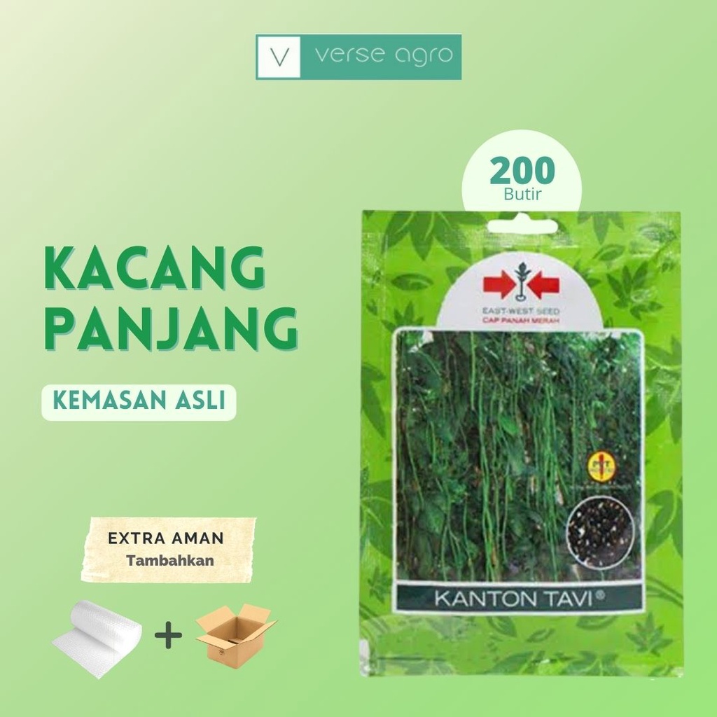 BENIH BIBIT TANAMAN PERTANIAN SAYUR SAYURAN HIDROPONIK KACANG PANJANG KANTON TAVI SP Cap Panah Merah