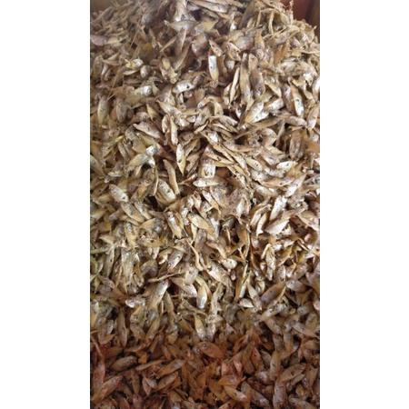 

TERI UNYIL/TAPIS