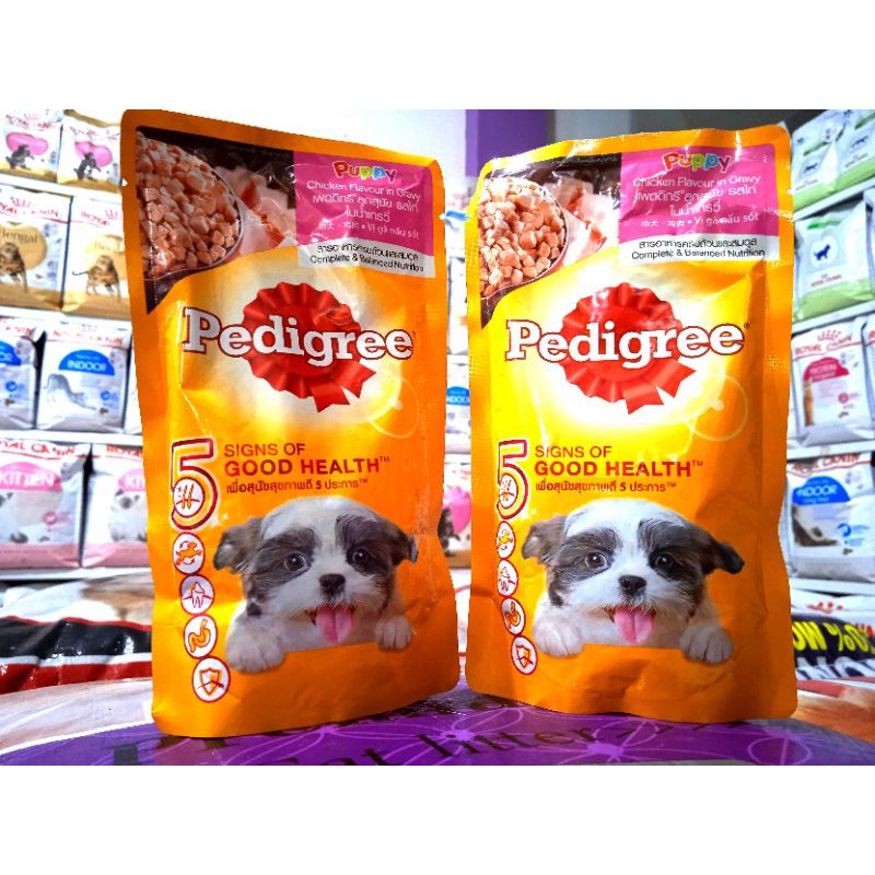 Pedigree puppy sachet chiken flavour in gravy 130gr