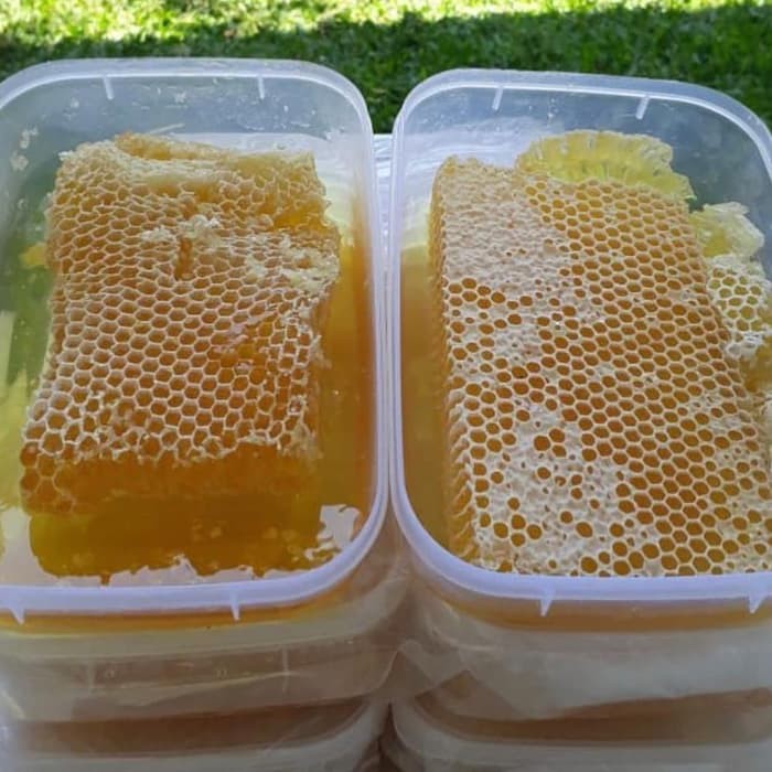 

Lebah Sarang Madu original Meliveira - MMD873