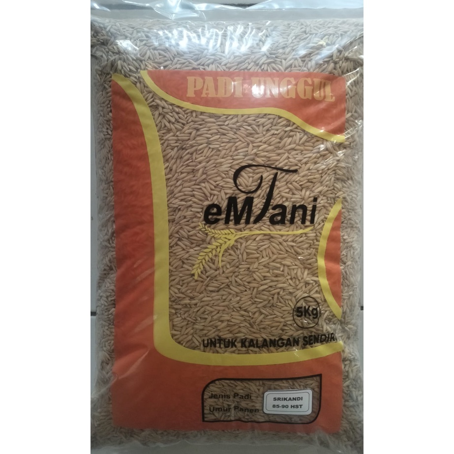Benih Padi Srikandi (5kg)