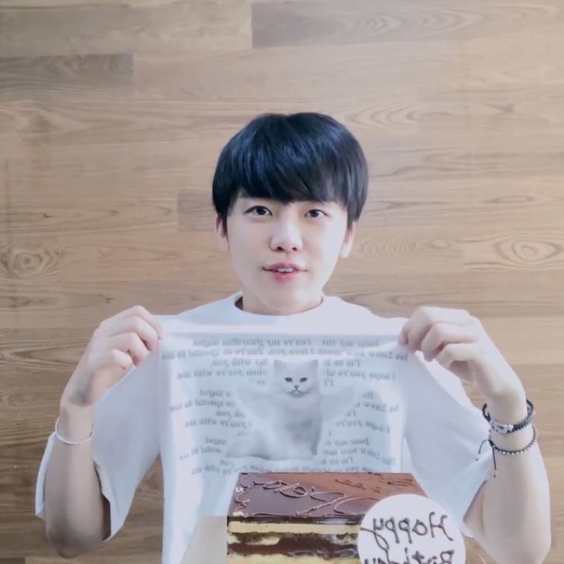 Jaemin Tshirt Itzavibe Jaemin kaos official kucing