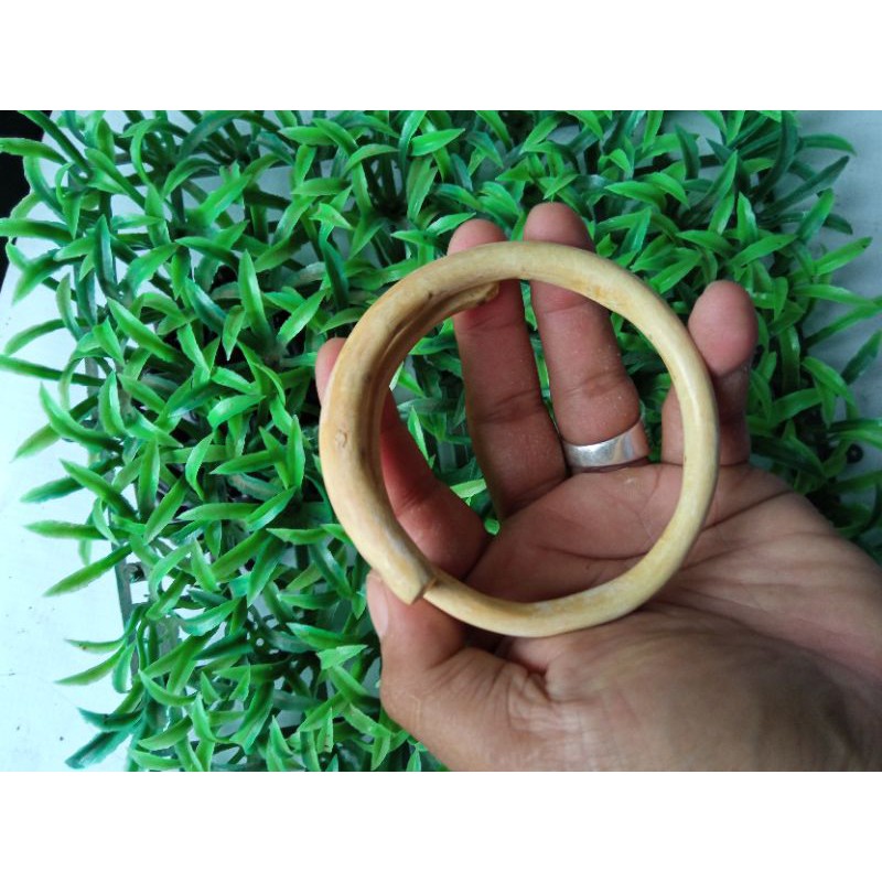 Gelang akar bahar  putih