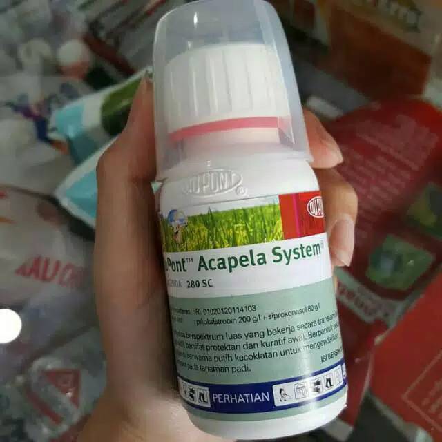 Fungisida dupont acapela system 280 sc 100 ml