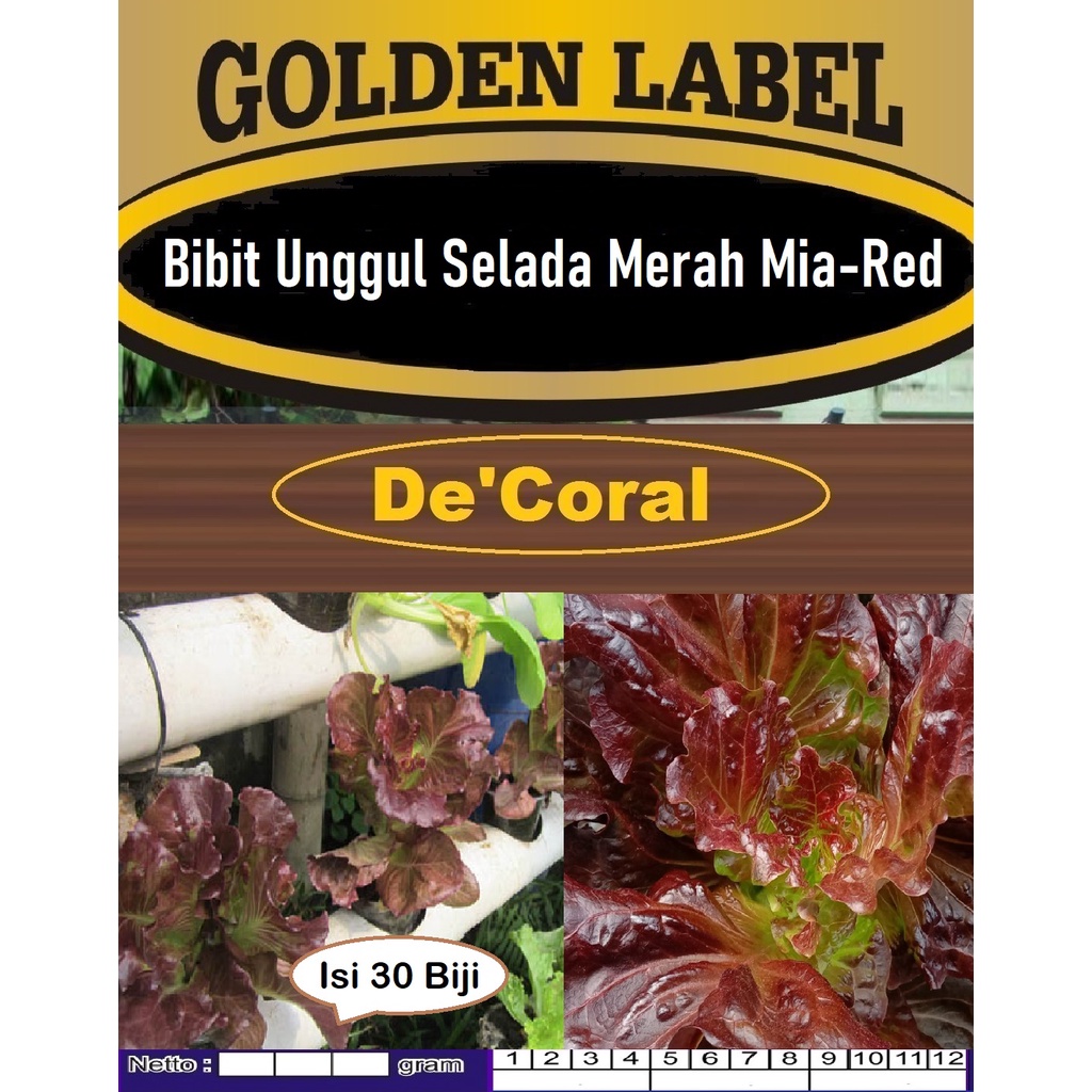 Bibit Unggul Selada Mia Red|Benih Selada Mia Merah|Selada Merah