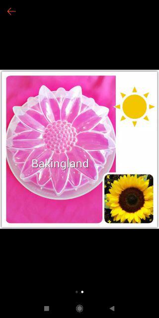 Cetakan Agar Puding Matahari