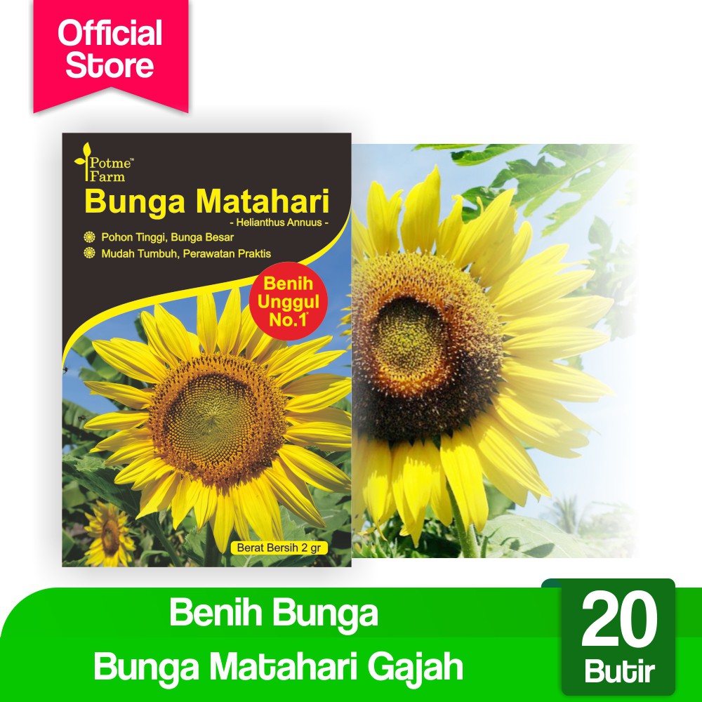 

Benih Bunga Matahari Gajah (Potme Farm)