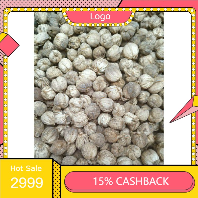 

RENGKEK SURABAYA - Kapulaga 100gr