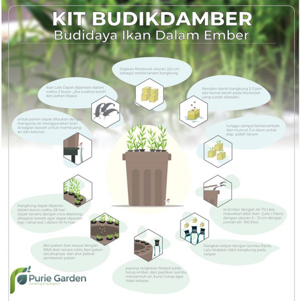 Paket Aquaponik Budidaya Ikan Dalam Ember (BUDIKDAMBER)