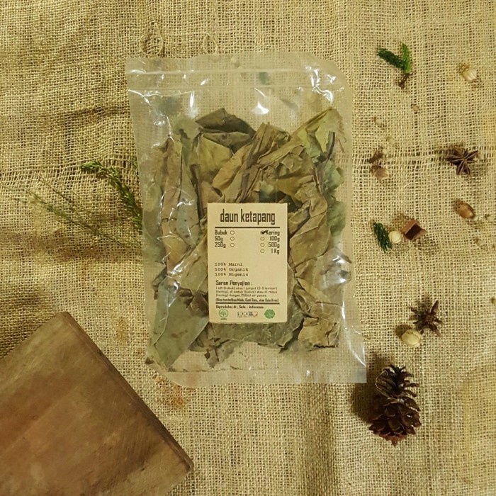 

DAUN KETAPANG BUBUK 50 GRAM - Terminalia Catappa - MURNI - JSR