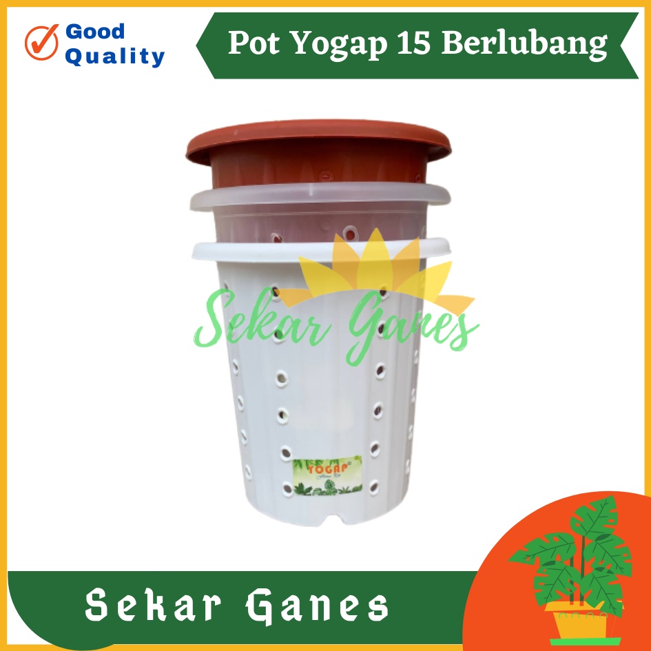 Pot Yogap 15 Putih Bening Transparan Merah Bata Merah Coklat Terracota Terracotta Berlubang POT BUNGA YOGAP YPT 15 BERLUBANG BENING / TRANSPARAN PUTIH &amp; MERAH BATA | POT TANAMAN HIAS