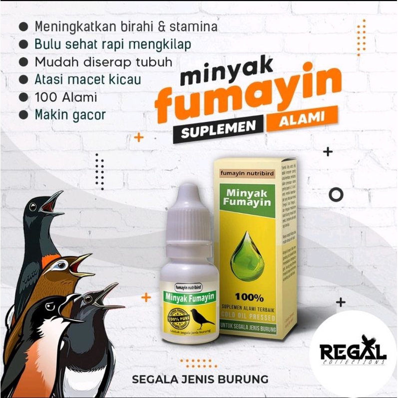 PENGGACOR BURUNG MINYAK FUMAYIN SUPLEMEN ALAMI
