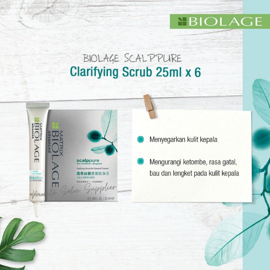 MATRIX BIOLAGE SCALPPURE CLARIFYING SCRUB