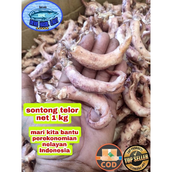 

Ikan asin sontong telor 1kg