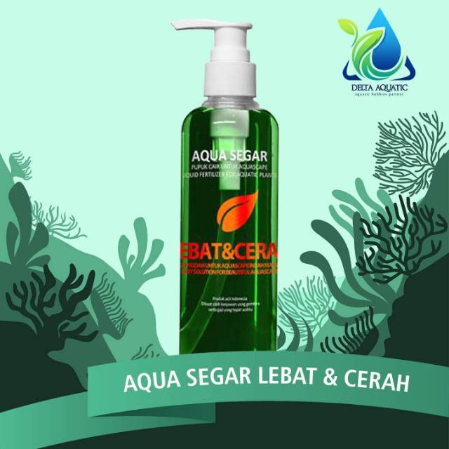 

Aqua segar Lebat cerah