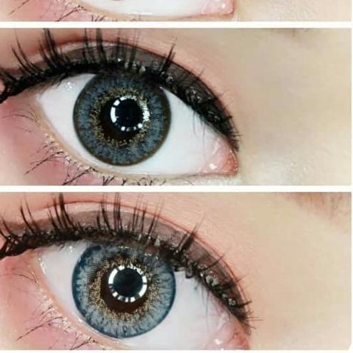 ♪ EYELOVIN SOFTLENS BY URBAN FACTORY / NORMAL ONLY - BLUE NORMAL ❉