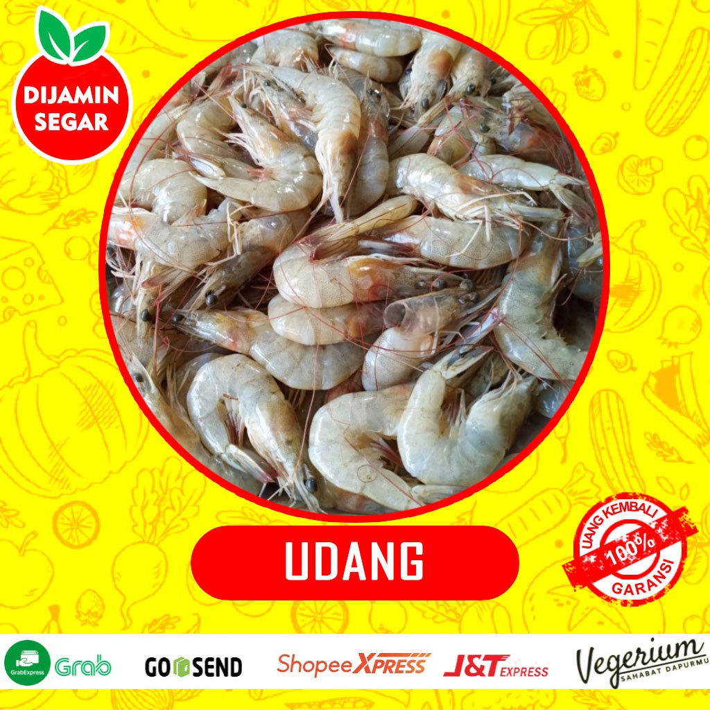 

Udang Hasil Laut Segar Kualitas Super Premium Per Pack