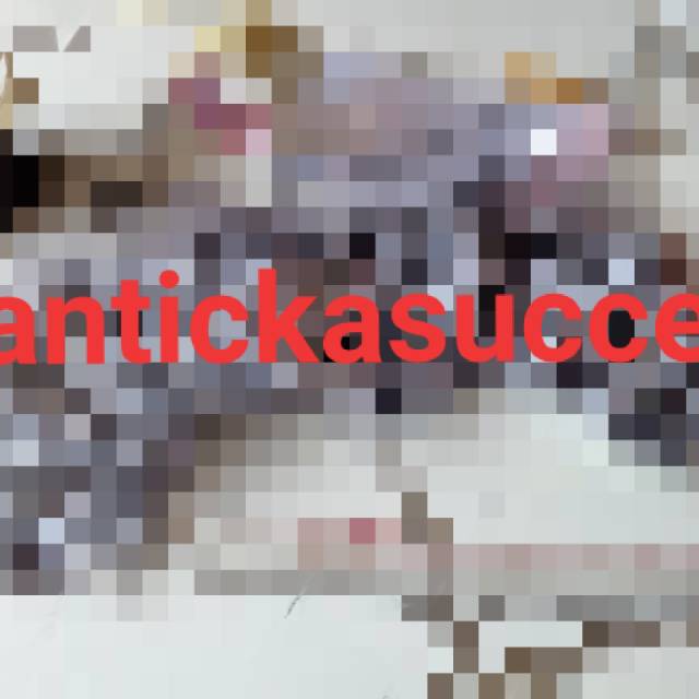 hantickasucces