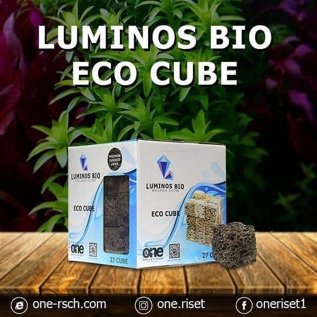 LUMINOS BIO MEDIA FILTER RUMAH BAKTERI BIOLOGIS  ALAMI AQUARIUM