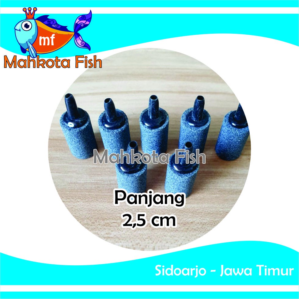 Batu Aerator PANJANG 2,5 CM | Batu Gelembung | Batu Aerasi | Airstone