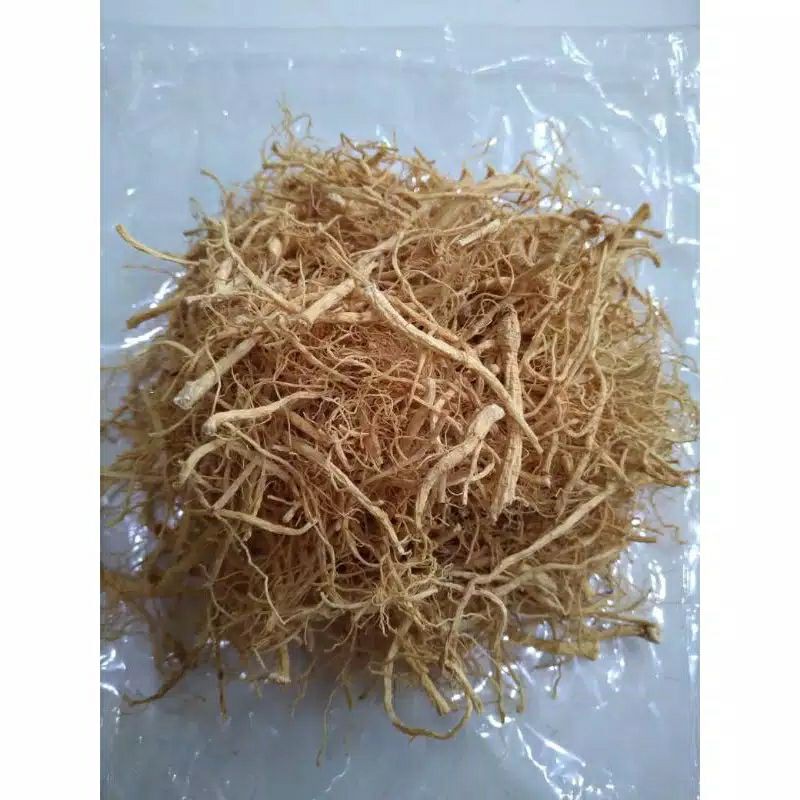 

Akar Ginseng Premium/ Yang Shen chiu kemasan 35gr