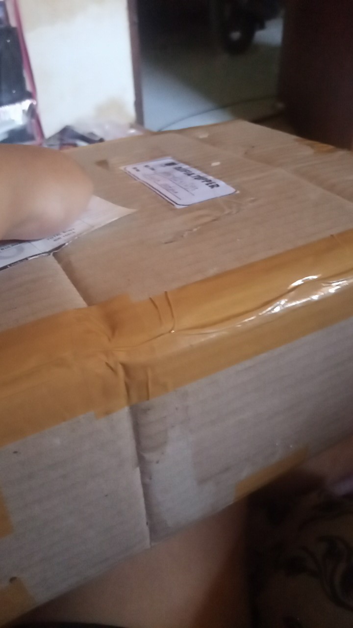 Tall Summer Fresh (1 Set)