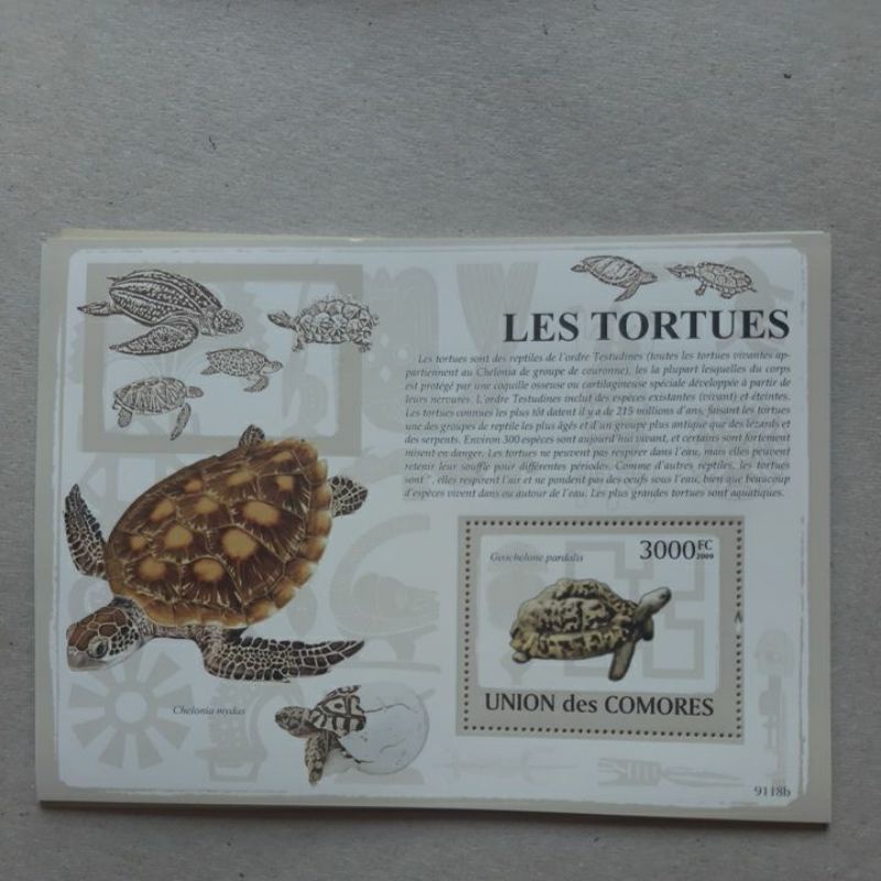 

Perangko Union des Comores 1 sheet prangko seri kura kura turtles