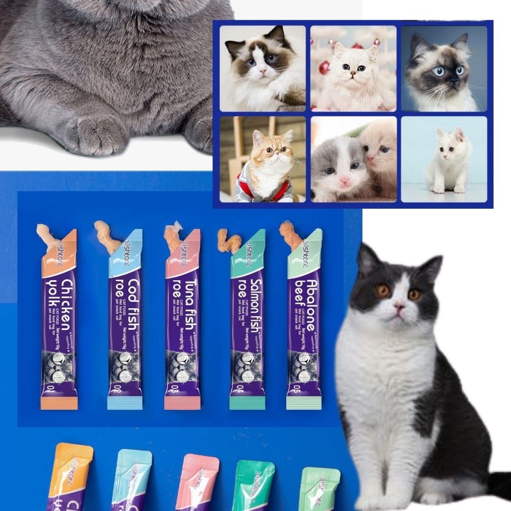 SNACK TREAT FOR CAT SNACK KUCING ISHTAR 15GR FEZONE