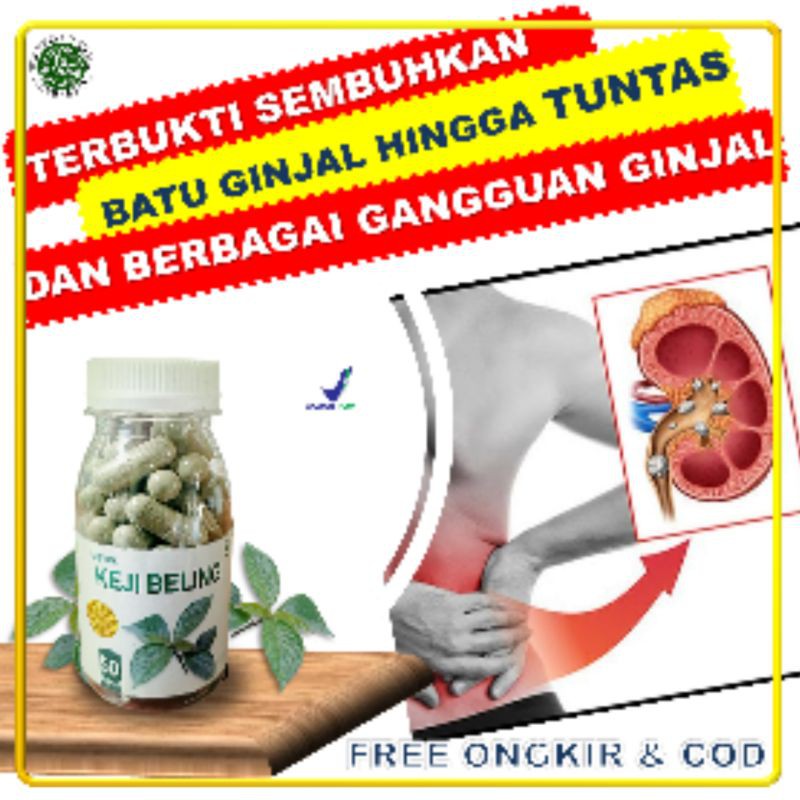 

Keji beling kapsul Paket tuntas sembu isi 4 botol herbal obat batu ginjal sakit pinggang