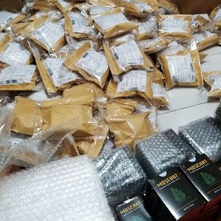 MOSEHAT Obat Diabetes Original Herbal Hernia Vertigo Asma Prostat Obat Herbal MOSEHAT-8