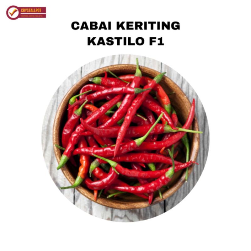 benih bibit cabe keriting kastilo cap panah merah - CABAI KASTILO F1