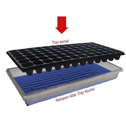 [3ST] 1 Karton Box Tray Semai Bibit Seeding Tray Hidroponik dan Umum Murah - 200 Lb (150pcs)