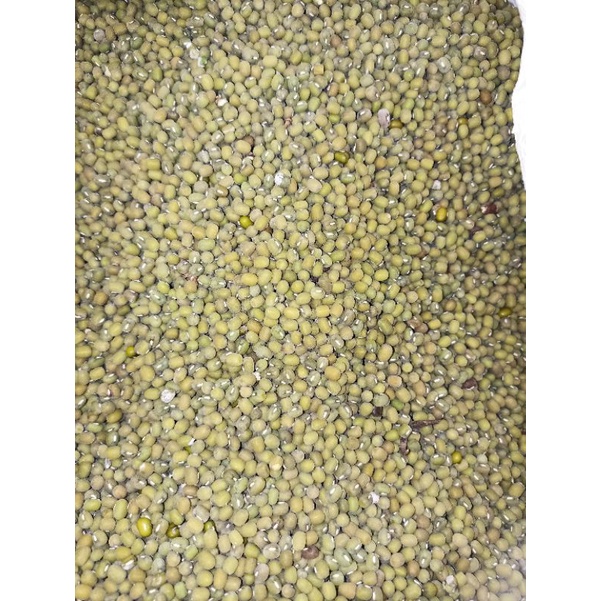 

Kacang Hijau Lokal fresh 1kg