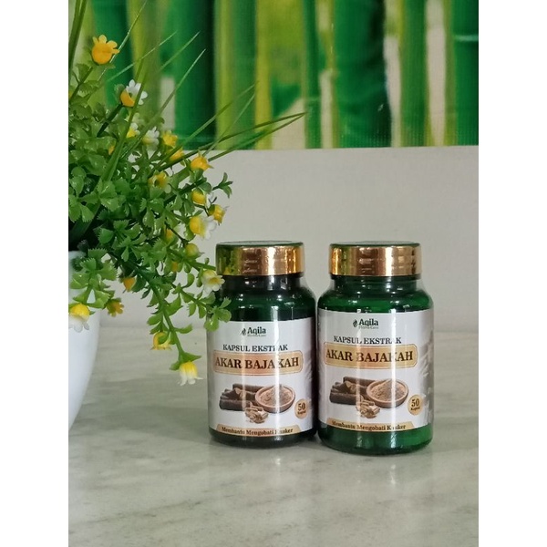 AKAR BAJAKAH KAPSUL