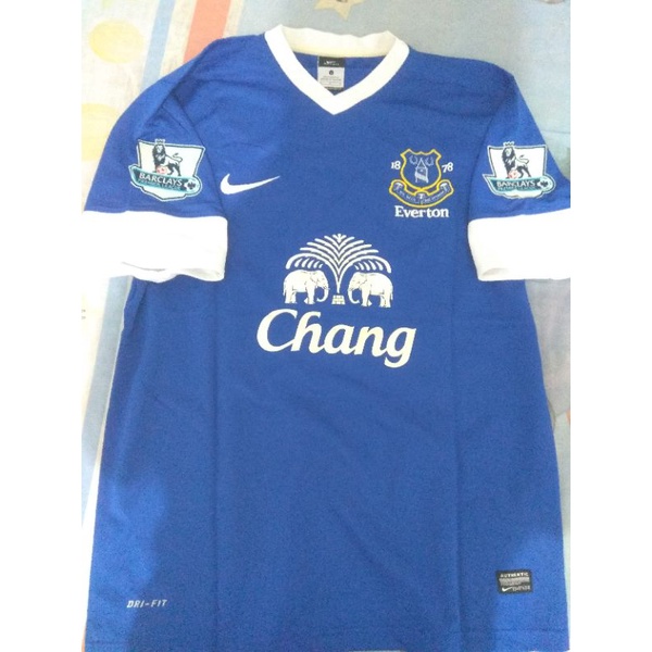 Jersey Everton F.C. Home colours 2012-2013 (22-Steven Pienaar)